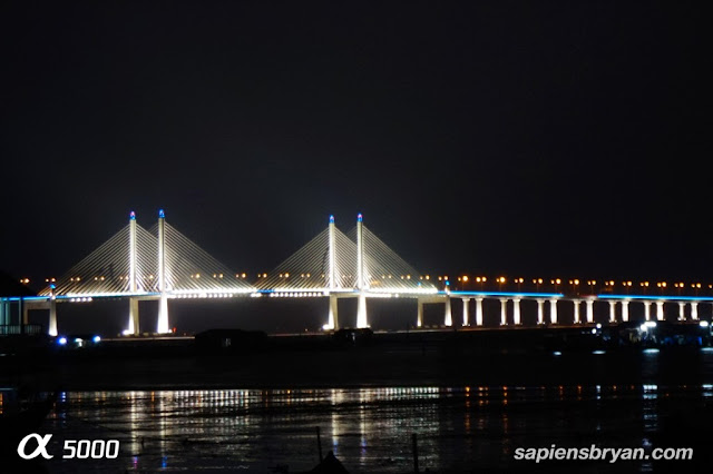 Every single suspension cable can be seen when zoom in the above night shot