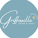 Griffouille, boutique en ligne pour chiens et chats