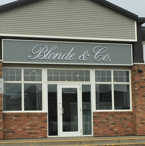 Blonde & Co. Hair Salon logo