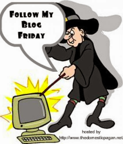 Follow Friday 5