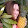 Wendy Michele Wendy Michele's profile photo