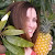 Miss Pineapples