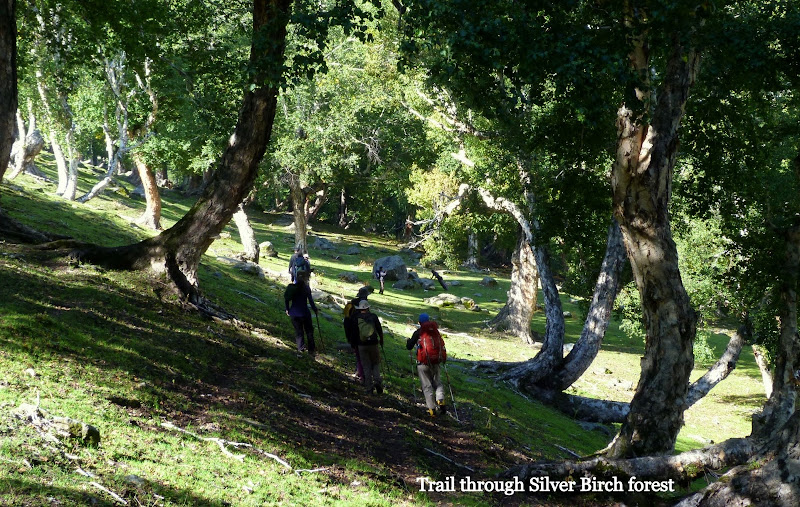 Kashmir great lakes trek