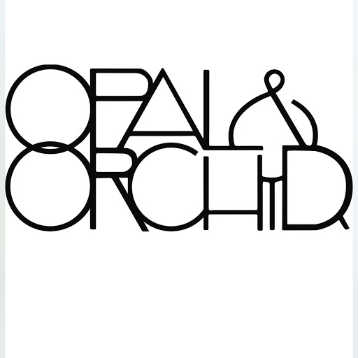 Opal & Orchid Hair Studio logo