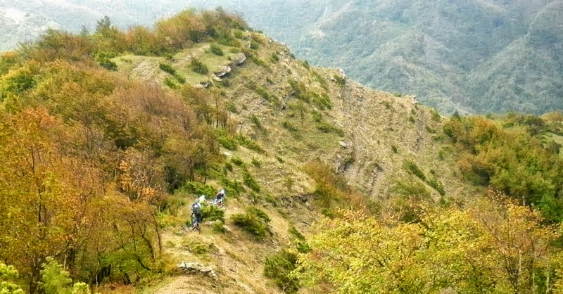 P1000182.JPG