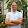 Doug Hall Doug Hall's profile photo