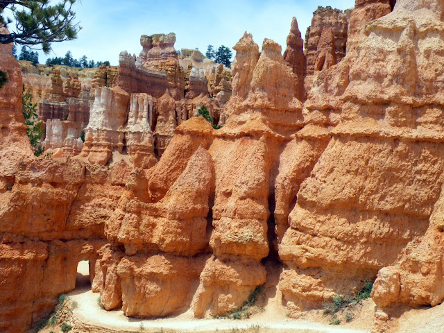 DIA-9. BRYCE CANYON. Paseando entre Hoodoos. - Los fascinantes parques del oeste americano. (15)