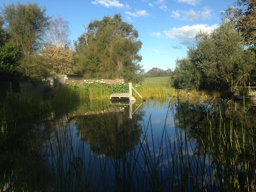 Gartenart Swimming Ponds