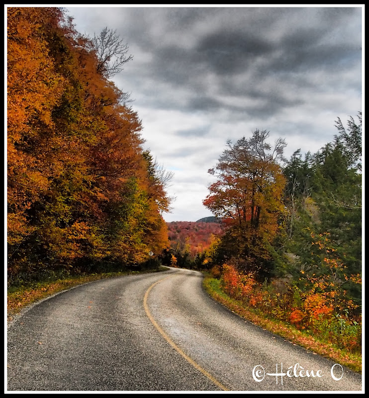 Paysages d'automne au Québec PA058135