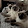 Penelope DeAngelo Penelope DeAngelo's profile photo