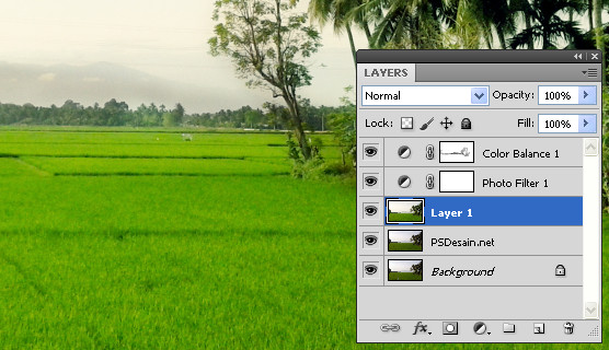 Mengedit Jepretan Foto Dengan Photoshop