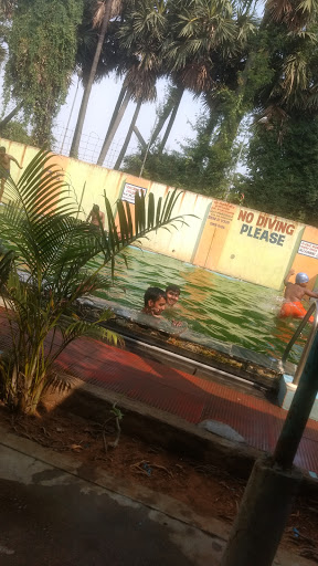 Swimming Pool, 600123, Rukmani Nagar, Poonamallee, Chennai, Tamil Nadu 600123, India, Swimming_Coaching_Center, state TN