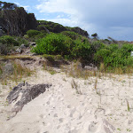 Track north of Saltwater Beach (105880)