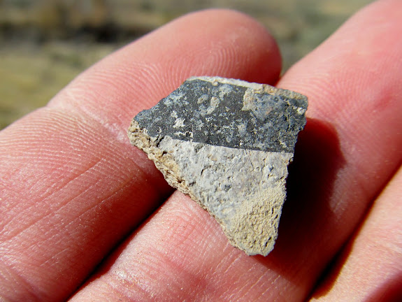 Painted pottery shard (the only decorated piece I've ever found)