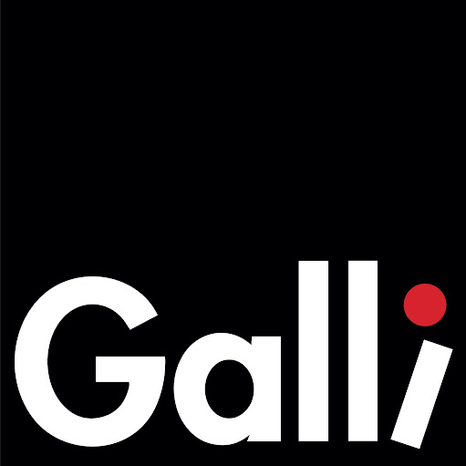 Galli Theater - Verein für interkulturelles Theater e.V. logo