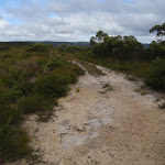 Govetts Ck Lookout Trail (98381)