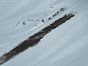Avalanche Vanoise, secteur Grande Motte, Refuge de la Leisse ; Plan des Chamois - Photo 5 - © Coubat Grégory