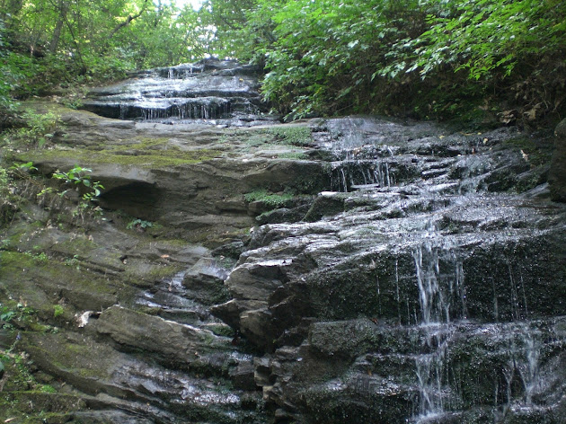 Cover photo
