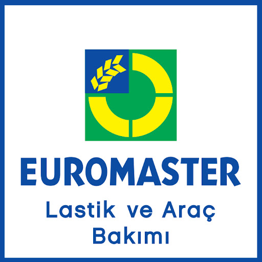 Michelin - Güncan Oto Başakşehir Euromaster logo