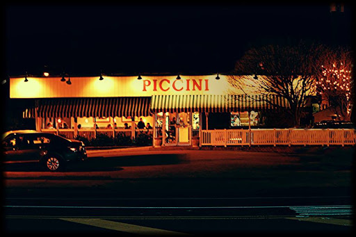Piccini Wood Fired Brick Oven Pizza