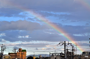 Picasa