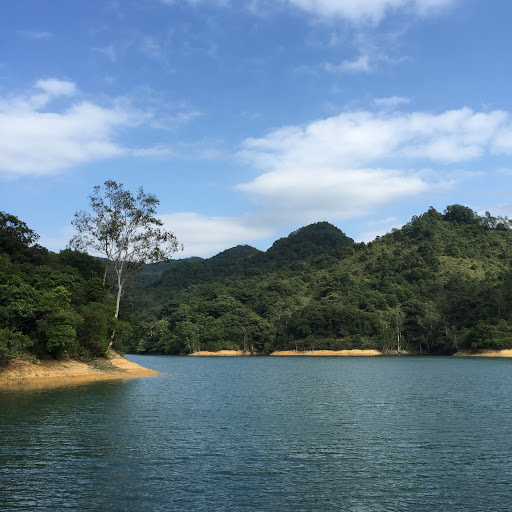 Pineapple Dam Nature Trail