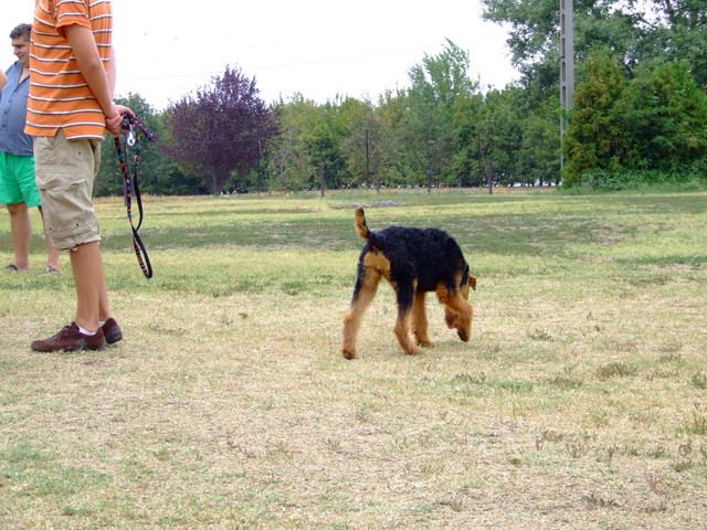 DSCF9999.JPG