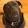 Kieran Mathieson Kieran Mathieson's profile photo