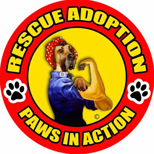 Rescue Adoption, Inc. logo