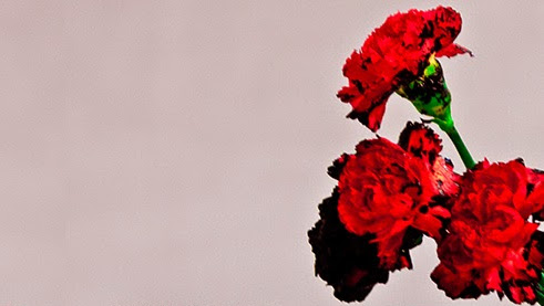 Cover photo