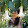 Bel Sophya Bel Sophya's profile photo