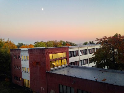 university