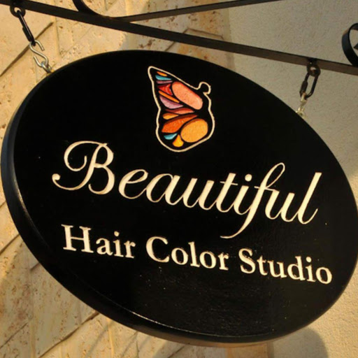 Beautiful Hair Color Studio logo