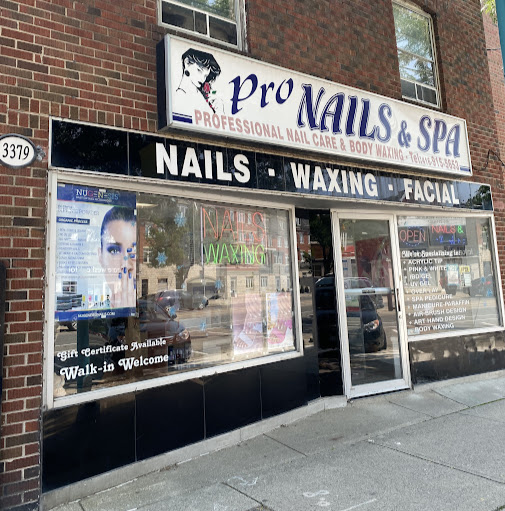 Pro Nails & Spa logo