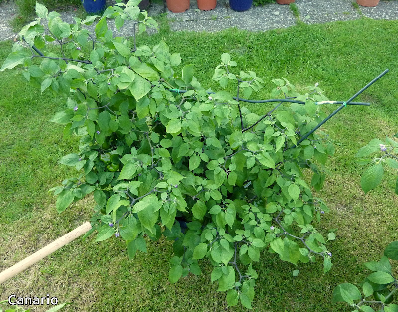 P1120035.JPG