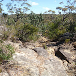 Rocky track down St Helena ridge (74640)