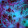pablo rogerio pablo rogerio's profile photo