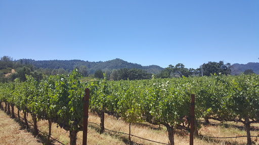 Pope Valley Winery
