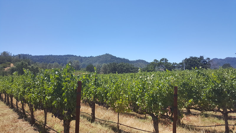 Image principale de Pope Valley Winery