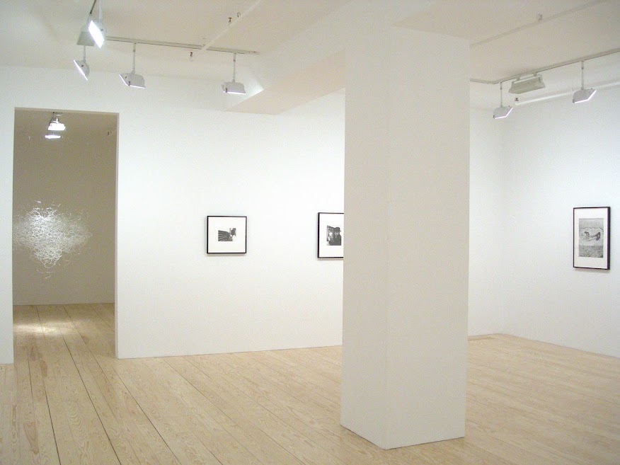 Eller Dan Fischer North.jpg incorporated architecture design benroth rolston stuart Eller Dan Fischer North.jpg