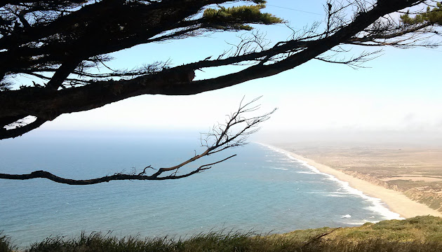 Cover photo