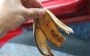 images743522_9.