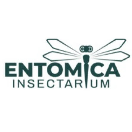 Entomica Insectarium