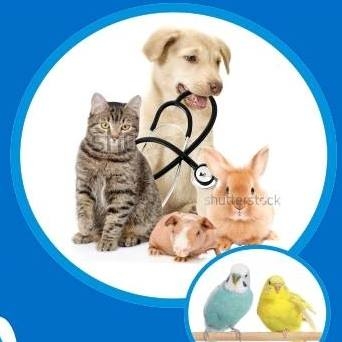 Newcastle West Pet Vet Clinic logo