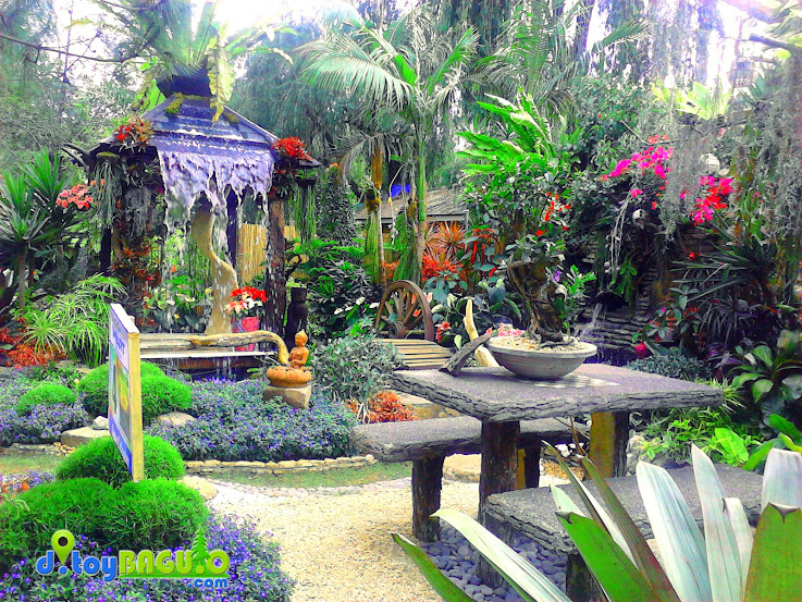 2013 Panagbenga Flower Festival Landscaping picture 17