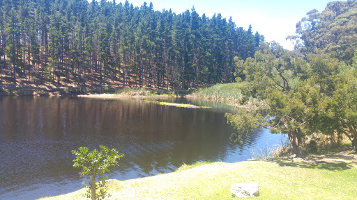 Hamilton Russell Vineyards