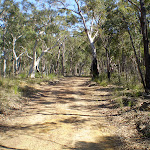 Servicetrail up to Tunks Ridge Reserve (6847)