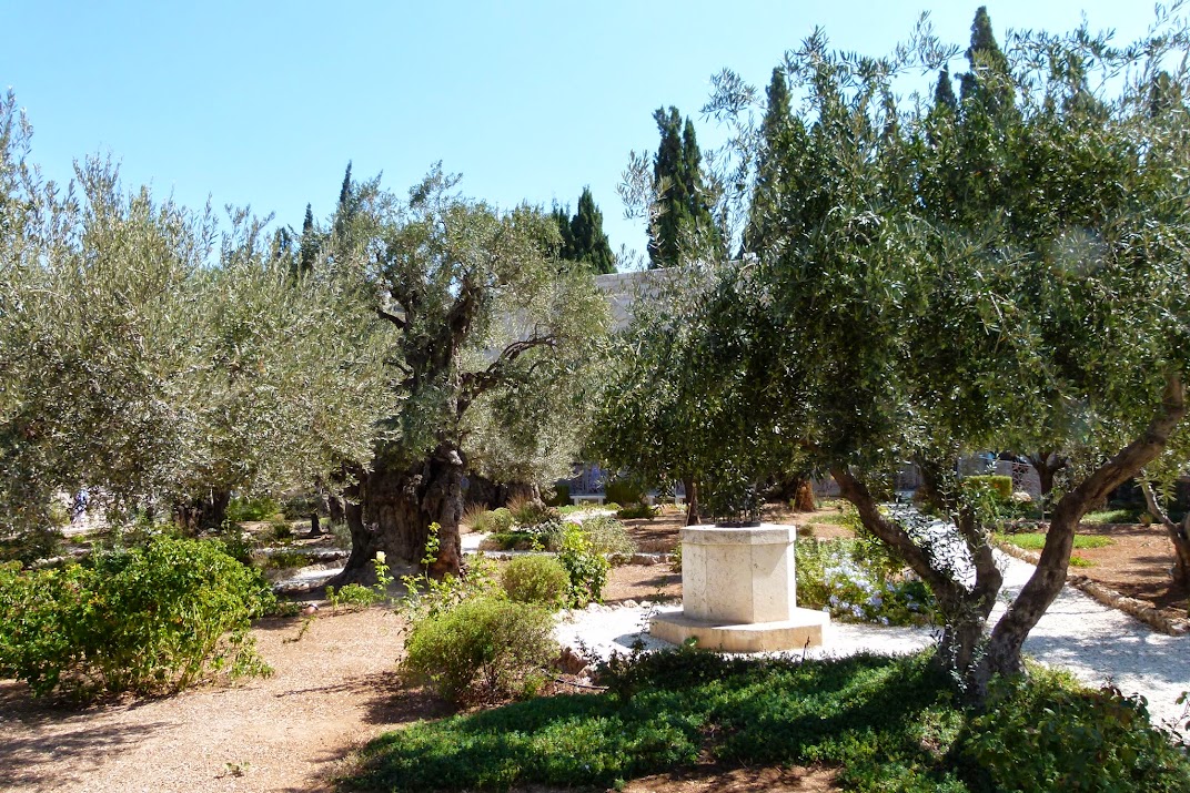 Gethsemane3