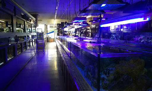 Tropical Fish Store «Aquariums Wholesale», reviews and photos, 132 S Clairborne Rd, Olathe, KS 66062, USA