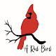 A Red Bird